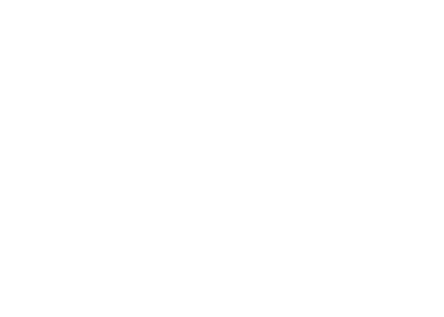 limeiike logo